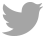 Logo twitter Parets del vallès